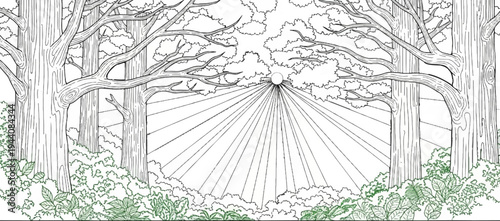 Sunbeams stream through dense forest trees onto a lush undergrowth