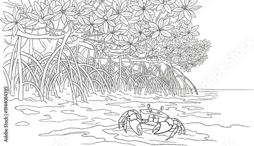 Line art drawing of crabs in a mangrove ecosystem with exposed roots and water