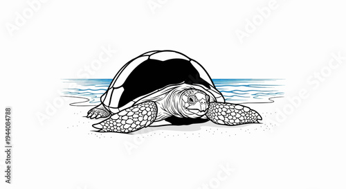 Sea turtle emerges from blue ocean waves onto sandy shore, black and white illustration