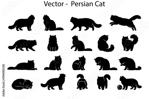 Persian cat silhouettes. Vector collection of cat silhouettes in different poses. 