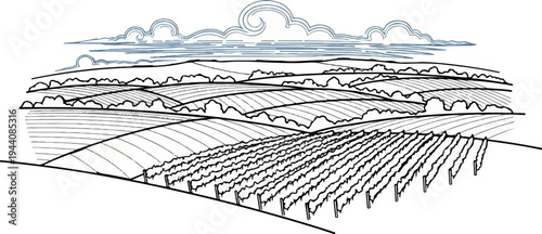 Stylized drawing of rolling hills and vineyards under a cloudy sky