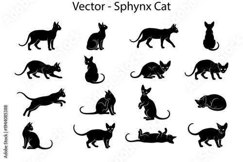 Sphynx cat silhouettes. Vector collection of cat silhouettes in different poses. 