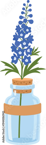 Blue delphinium flower in glass jar with cork lid, botanical vector illustration for decor and design