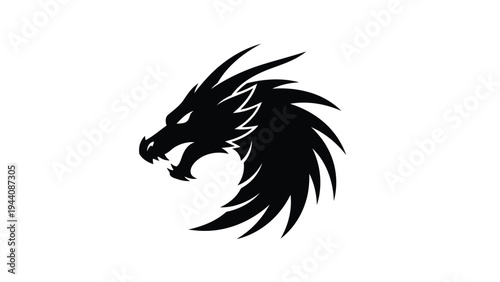 Mythical dragon head with fierce and intricate mane design in black and white Vector