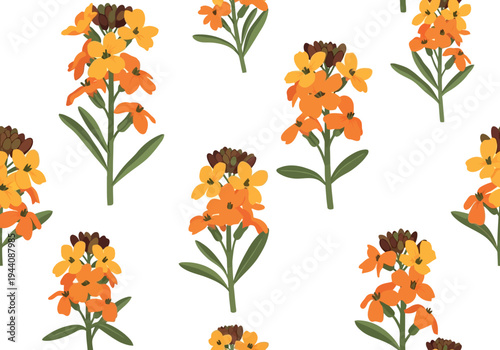 Tableau sur toile Seamless vector pattern with orange and yellow wallflower blossoms on white back
