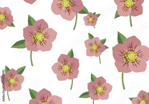 Fényképezés Seamless pink hellebore flower pattern on white background for spring textile an