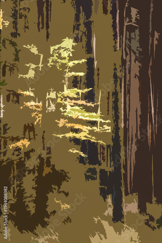 AUTUMN TIME IN FOREST - Colorful tree leaves in the sun rays