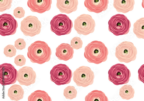 Seamless pink ranunculus floral pattern on white background for spring wedding and feminine design