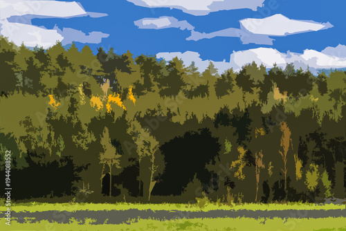 AUTUMN LANDSCAPE - Colorful tree leaves among the green pines