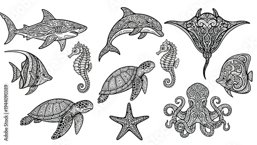 Diverse assortment of marine turtles and sea creatures in silhouette style Vector