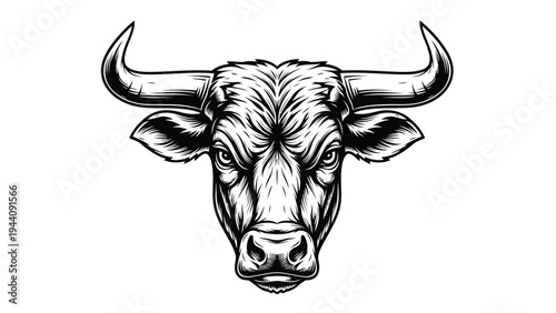 Black and white illustration of a bull's head facing forward with detailed horns Vector