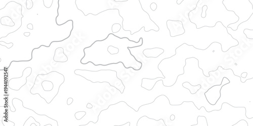 Abstract minimal The patter discovery vector topo map creative discovery White wave grid stripe line map topography.	