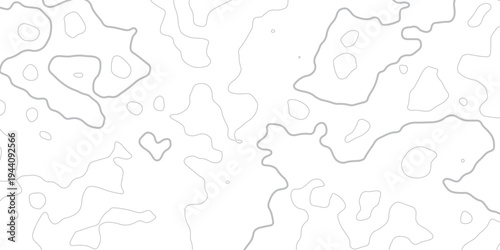 Abstract minimal The patter discovery vector topo map creative discovery White wave grid stripe line map topography.	