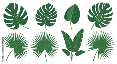 Diverse collection of tropical and unique leaf illustrations in dark green