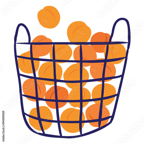 Basket of fresh peaches vector illustration