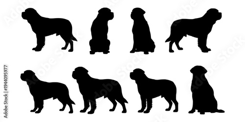 Saint Bernard dog silhouette vector set. Saint Bernard breed black silhouettes. Saint Bernard dog isolated vector on white background. Clipart bundle.