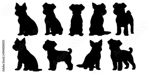 Maltese dog silhouette set. Maltese dog silhouette vector illustration. Maltese dog isolated vector on white background. Dog clipart bundle.
