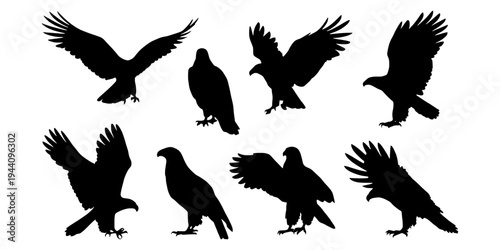 Eagle silhouette vector set. Flying eagle black illustration. Predator bird silhouette collection isolated on white background. Bird of prey vector art.