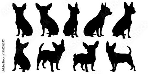 Chihuahua silhouette set. Chihuahua dog silhouette vector illustration. Black chihuahua isolated vector on white background. Small dog silhouette clipart bundle.