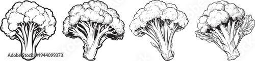 minimalist black and white outline drawing of a fresh broccoli floret, perfect for healthy organic vegetable designs