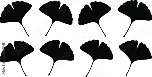 Set of ginkgo biloba leaf silhouettes, black isolated botanical icons, medical herb leaves for health, wellness, nature design, and organic cosmetics