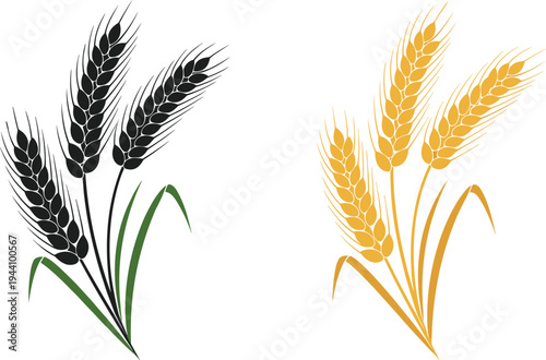 Wheat ear vector icons, gold and black cereal grain silhouettes, organic agriculture symbols for bakery logo design, farm harvest, and flour packaging
