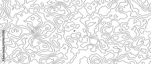 modern black and white minimalist topographic map with intricate contour lines on a clean white background.