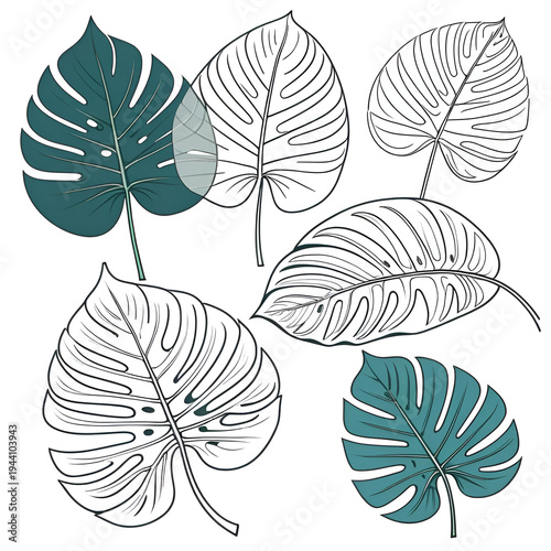 Set of four stylized monstera leaf outlines in a continuous line drawing style for natural theme decoration and botanical graphic applications