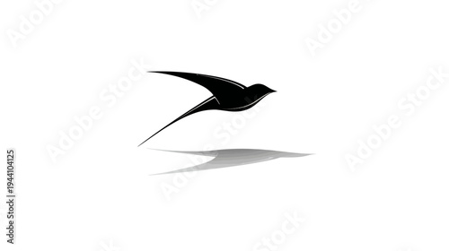 Stylized black bird flying with shadow on white background, minimalist graphic design for freedom and elegance concepts