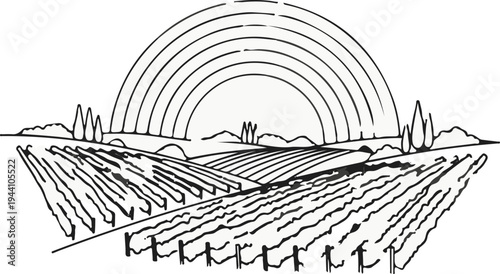 A stylized sketch of vineyard rows under a prominent rainbow and distant hills