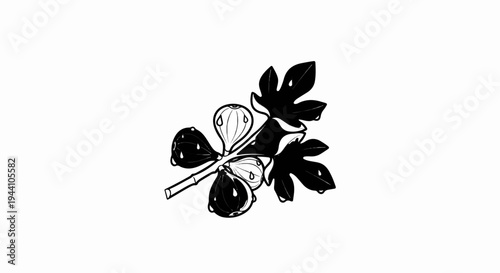A stylized branch with dark figs and leaves, depicted in black and white