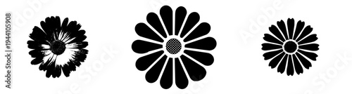 Monochrome Flower Silhouette - Black and White Daisy