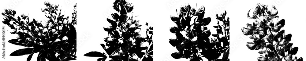 Fototapeta premium Vibrant Purple Lupine Bouquet