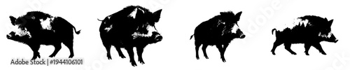 Wild Boar Silhouette: A Black and White Artwork