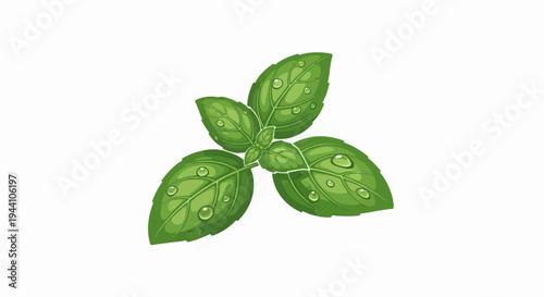 A vibrant green basil plant with dew drops glistening on its leaves