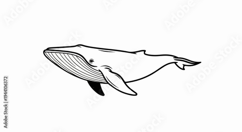 A stylized black and white illustration of a large marine mammal