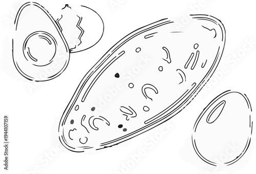 A simple line drawing depicting breakfast items cracked egg, whole egg, and egg dish