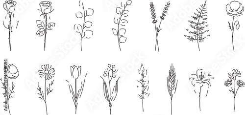  Hand-Drawn Botanical Line Art Icons Vector - Minimalist Black and White Floral Elements for Nature-Inspired Designs