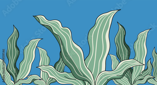 Seaweed Marine Plant Underwater Nature Background Illustration