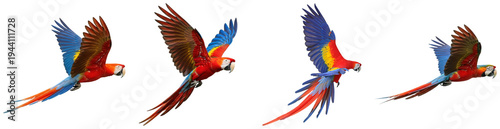 Foto A dynamic collection of scarlet macaws in flight, showcasing their vivid red, blue, and yellow plumage