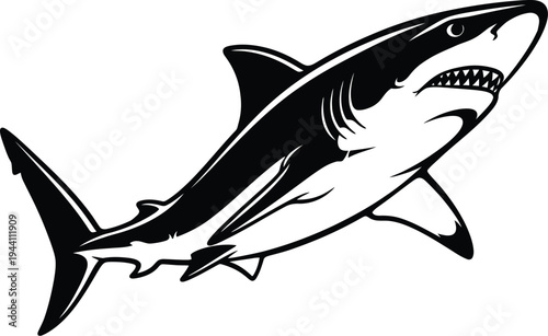 Black and white illustration of a shark swimming