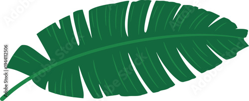 Large tropical banana leaf graphic suggests exotic jungle foliage.
