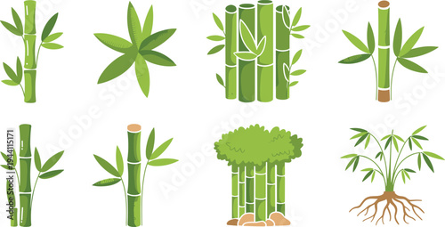 Green bamboo plant collection set, bamboo stems leaves and grove icons, tropical nature botanical illustration isolated vector elements