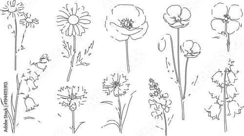 Set of 10 Hand-Drawn Wildflower Outline Icons Vector Collection for Nature-Themed Designs, Botanical Illustrations, and Spring Graphics