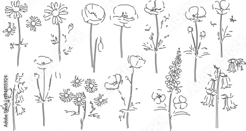 Minimalist Hand-Drawn Wildflower Line Art Vector Set: Delicate Botanical Illustrations for Nature-Inspired Designs and Spring Projects