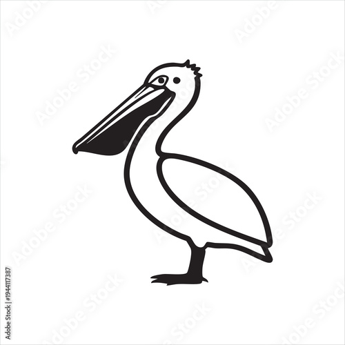 WebBlack and white pelican silhouette sketch, shore bird graphic symbol, water bird vector illustration, long beak line art drawing isolated