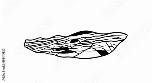 Abstract black and white organic shape with flowing lines and patterns