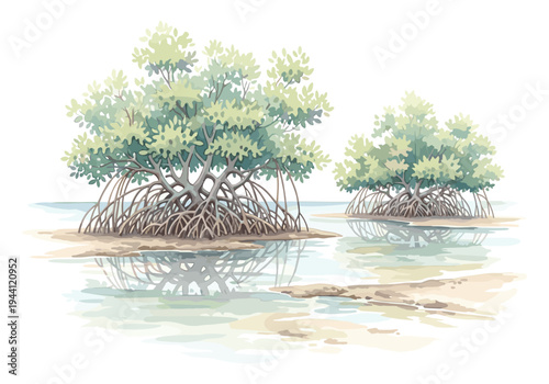 Illustration of mangrove trees with intricate root systems growing in shallow water and sand