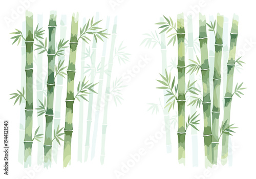 Watercolor illustration of green bamboo stalks and leaves on a white background