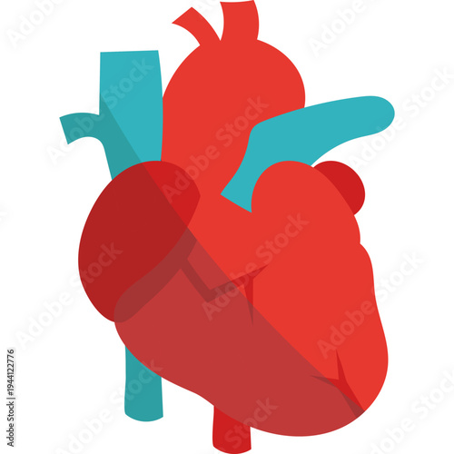 Flat Style Human Heart Icon